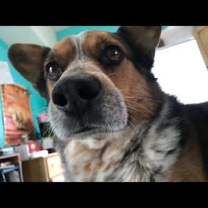 Meet your Posher, Rylee